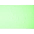 thumbnail image 1 of Ahgly Company Indoor Rectangle Solid Green Modern Area Rugs, 6' x 9', 1 of 1
