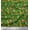 Forest Green, variant on Soimoi Cotton Duck Fabric Balloon,Floral & Cute Animals Cartoon Print Fabric by Yard 42 Inch Wide