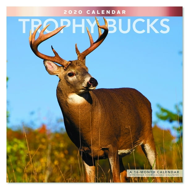 Mead Trophy Bucks 12x12 Monthly Wall Calendar Wall Calendars