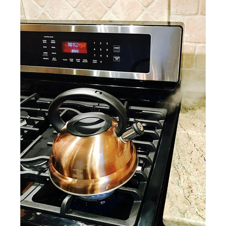 Elitra Home Stove Top Whistling Fancy Tea Kettle - Stainless Steel Tea Pot with Ergonomic Handle - 2.7 Quart / 2.6 Liter,Black