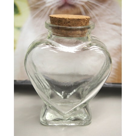 Mini Corked Jars Favor Bottle Keepsake Souvenir,