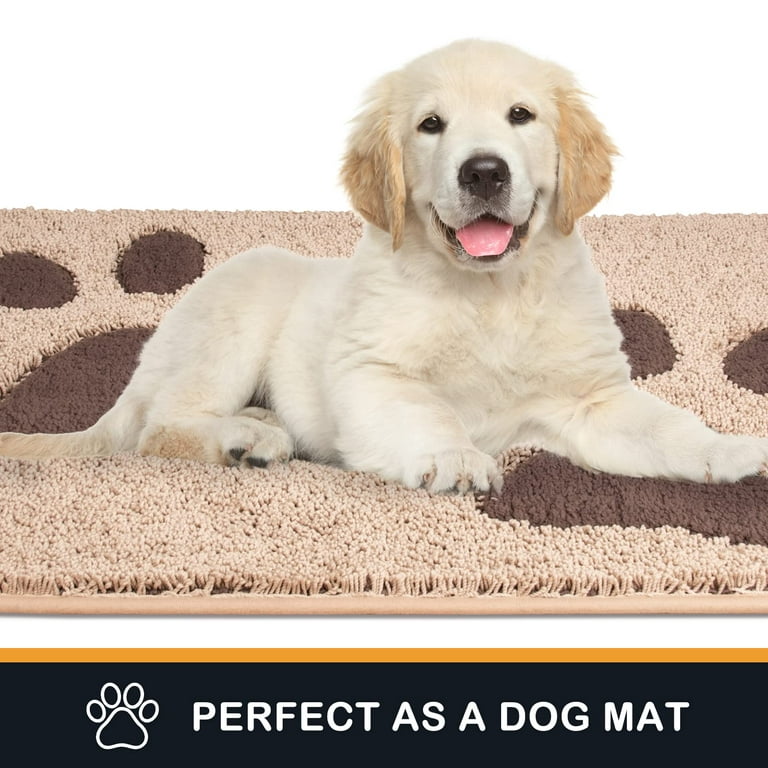  Door Mat Indoor, Dog Mats for Muddy Paws Super Absorbent,  Low-Profile Entryway Rug with Non-Slip Backing, Washable Dirty Trapper  Inside Entrance Doormat for Shoes, 32 x 48, Beige : Pet Supplies