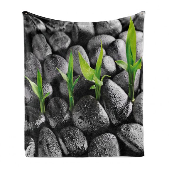 Plant Soft Flannel Fleece Blanket, Basalt Stones with Bamboo Leaves Sticking Water Droplets Harmony of Nature, Cozy Plush for Indoor and Outdoor Use, 50" x 70", Dark Taupe Lime Green, by Ambesonne