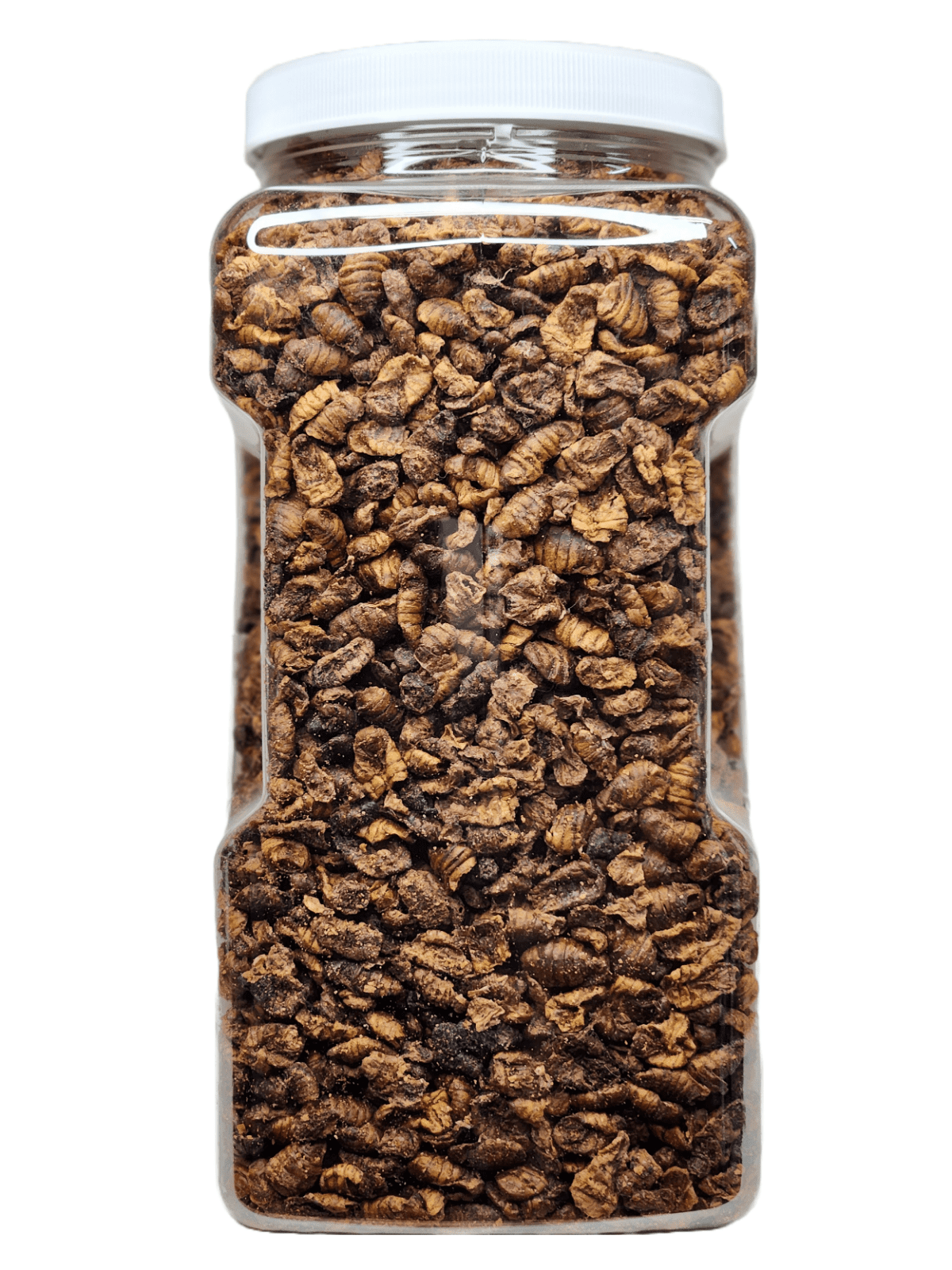 Silkworm Pupae, Freeze Dried for Koi, Pond Fish, Turtles, Large Fish. Silkworm is Rich in Natural Lipids & Proteins and a Natural Color Enhancing Treat..1-lb Med Jar