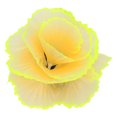 thumbnail image 5 of Decoración de Coral de simulación, pecera fluorescente, plantas, decoración para paisaje, amarillo, 5 of 5