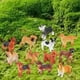 thumbnail image 5 of 12x figuritas de perro realistas, juego de juguetes para , juego de perros en miniatura, figuritas de animales para decoración de mesa de pastel Yotijar Figuras de simulación, 5 of 10