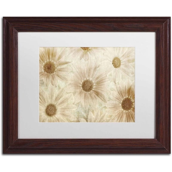 Trademark Fine Art 'Vintage Daisies' Canvas Art by Cora Niele, White Matte, Wood Frame