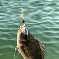 thumbnail image 3 of Spinner Bait Bass Fishing Lures Spinnerbaits Spoon Hooks Lures Feather, 3 of 7