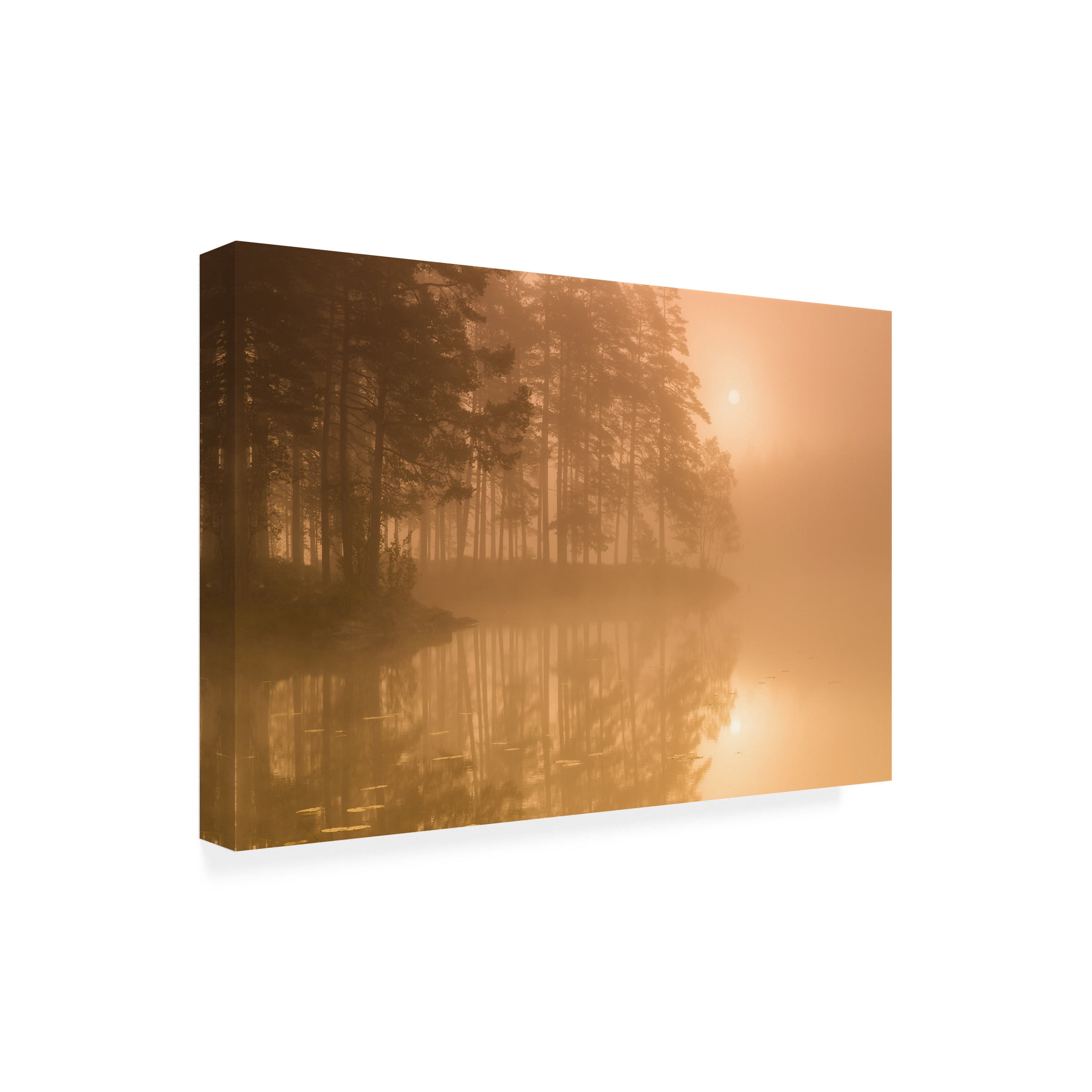 Andreas Christensen 'Sun & Mist' Outdoor All-Weather Wall Decor