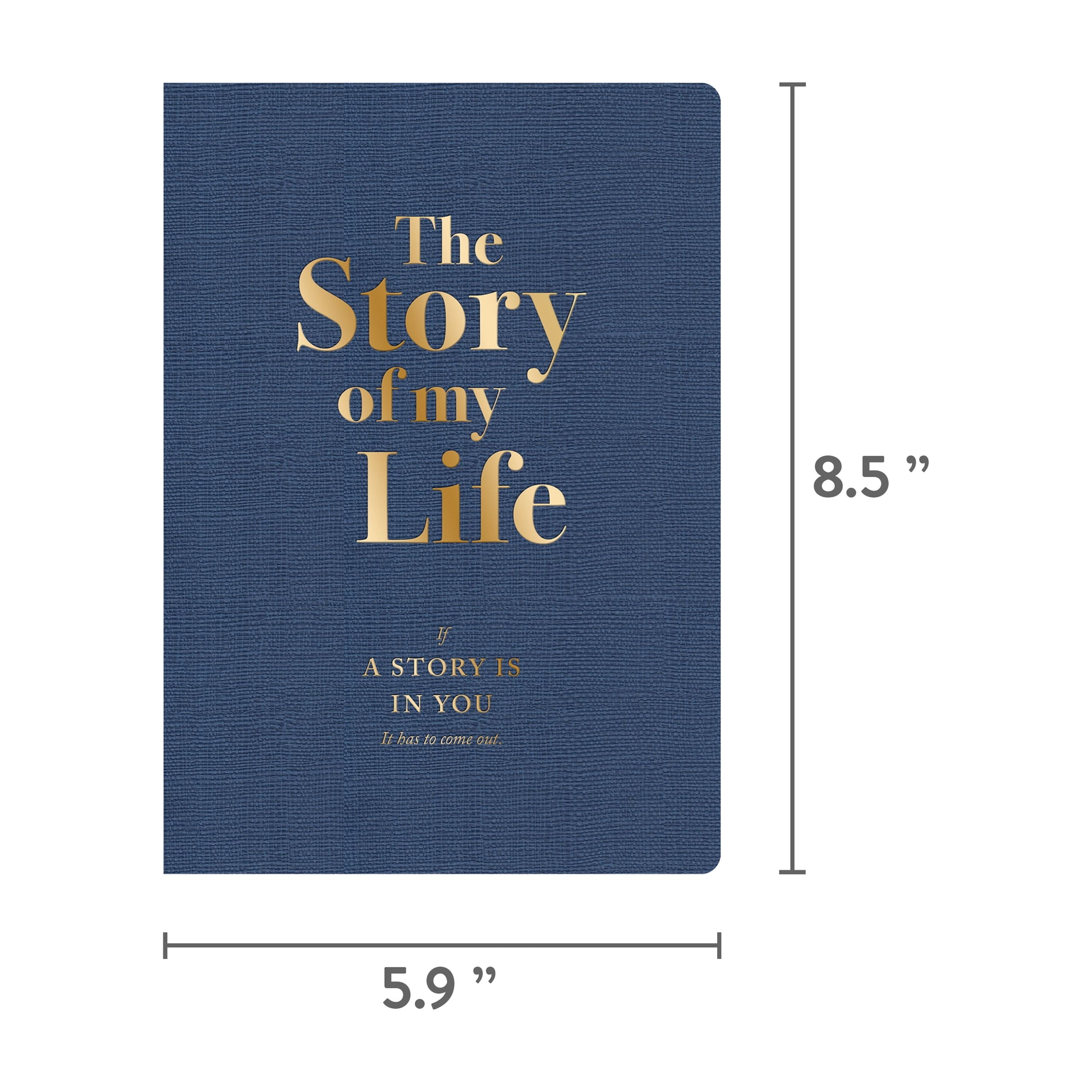 (2 pack) Piccadilly Story of My Life Journal 12+ Blue Paperback 204 Pages