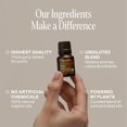 thumbnail image 2 of Cliganic Power Up Blend, 2 of 7