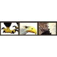 thumbnail image 5 of Anti Pigeon för balkong, fågelskrämma, duvavvisande, duvskrämma, uggla med reflekterande anti kråkremsa för trädgård garage set om 4 fågelskrämma, 5 of 5