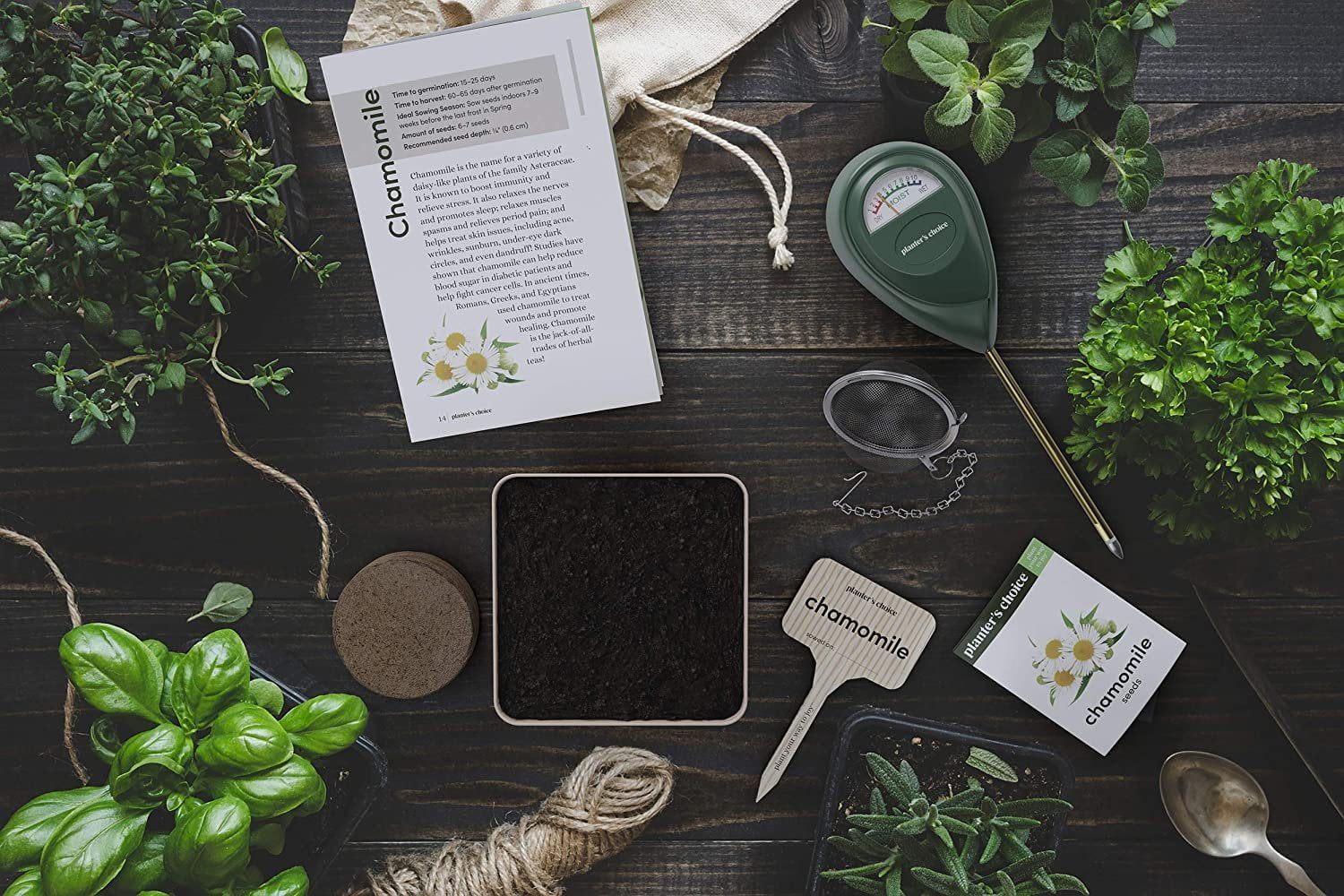 Grow 4 Of Your Own Herbal Tea Kit Stainless Steel Tea Infuser Chamomile Peppermint Lemon Balm Red Clover Everything Included Pots Soil Seeds Booklet Bamboo Plant Labels Walmart Com Walmart Com Grow 4 Of Your Own Herbal Tea Kit Stainless Steel Tea Infuser Chamomile Peppermint Lemon Balm Red Clover Everything Included Pots Soil Seeds Booklet Bamboo Plant Labels Walmart Com Walmart Com