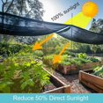 thumbnail image 3 of Greenhouse Shading Net with Grommets Pergola Sun Shade Cloth 50% Shading Rate UV Resistant Sunblock Shade Netting Sunscreen Fabric for Garden Flower, 3 of 5