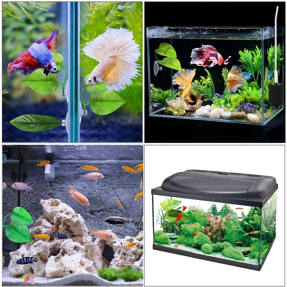 10PCS Betta Fish Leaf Pad Betta Fish hammock Betta Fish Tank Accessories Betta Fish Toys Tank Decoration Suitable For Large And Small Fish Tanks Aquariums in Nepal at NPR 3746 Rating 5