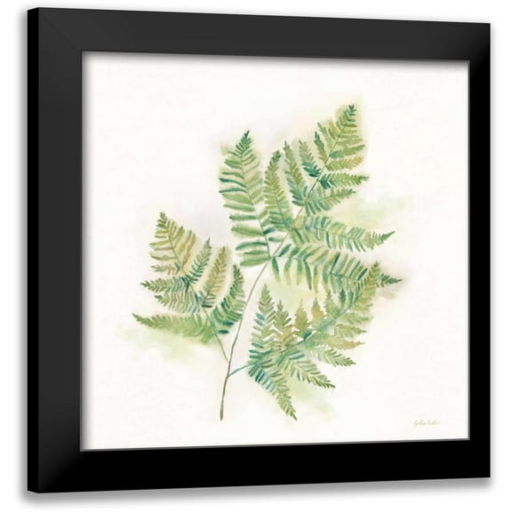 Coulter, Cynthia 12x12 Black Modern Framed Museum Art Print Titled - Modern Ferns I