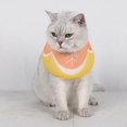 thumbnail image 3 of Pet Collar with Fastener Tape Adjustable Soft Cat Recovery Comfortable Breathable Cone for Postsurgery Yellow M M yellow, 3 of 3
