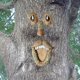 thumbnail image 5 of Tree Face,Decoration for Tree Trunk,Yard Decor art decorations whimsical tree face sculpture, 5 of 5