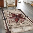 thumbnail image 2 of Texas Star Retro Area Rugs 4'x6', Washable Small Throw Rugs for Office Bathroom, Red Wooden Berry Vintage Indoor Outdoor Rug Non-Slip Low Pile Carpet Runner Reversible Floor Mats, 2 of 8