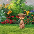 thumbnail image 5 of Home Decor Resin Birdbath Polyresin Antique Garden Bird Bath For Home Yard Brown, 5 of 9