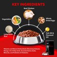 thumbnail image 3 of Drools Focus Nourriture pour Chiens Adulte Super Premium, 1.2kg, 3 of 5