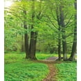 thumbnail image 3 of Nature Duvet Cover Set, Summer Season Forest with Flourishing Trees Grass and Pathway Tranquil Scenery, Decorative 3 Piece Bedding Set with 2 Pillow Shams, Queen Size, Fern Green Brown, by Ambesonne, 3 of 3