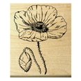thumbnail image 2 of P25 Poppy Flower Rubber Stamp WM, 2 of 4