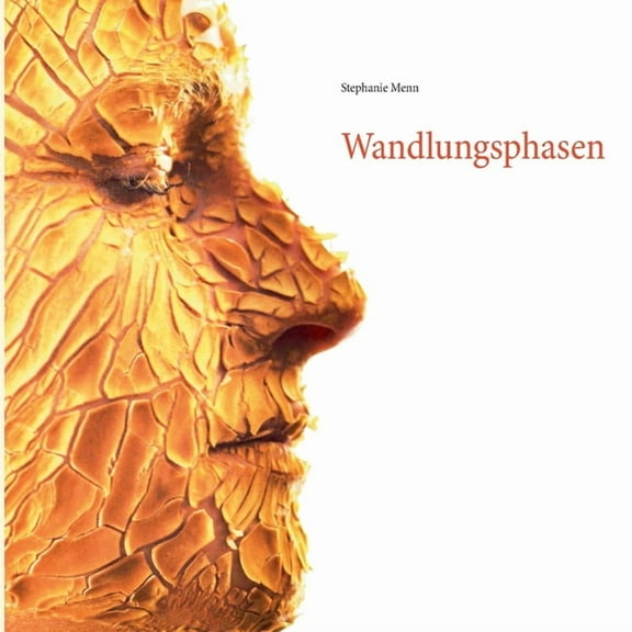 Wandlungsphasen: Meine Reise zum Ich, (Paperback)