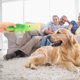 thumbnail image 5 of Juguete chirriante para perros Mizh, juguete suave de látex para perros, juguete para masticar con chirrido para cachorros, juguete para morder para perros, 5 of 6