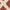 Red/Bone, variant on Safavieh COURTYARD, BLUE / BONE, 2'-3" X 10', Area Rug, CY6915-233-210