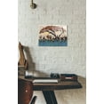 thumbnail image 2 of Epic Art 'Planes of Africa III' by Alonzo Saunders Acrylic Glass Wall Art, 12"x16", 2 of 2
