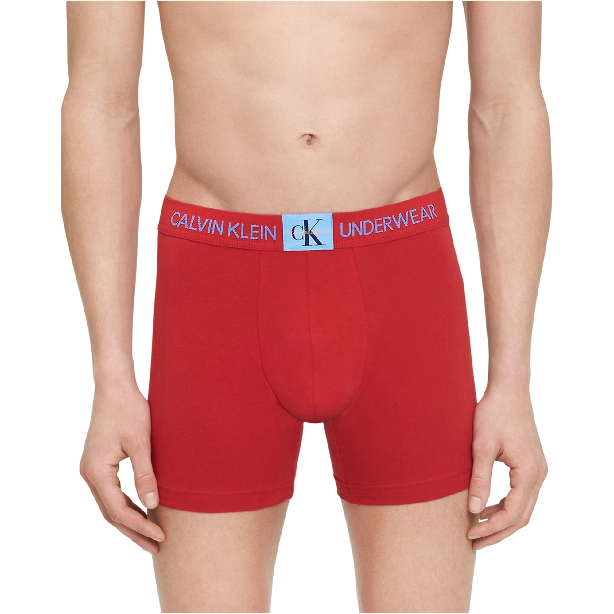 Calvin Klein Mens Classic Logo Underwear Boxer Briefs 