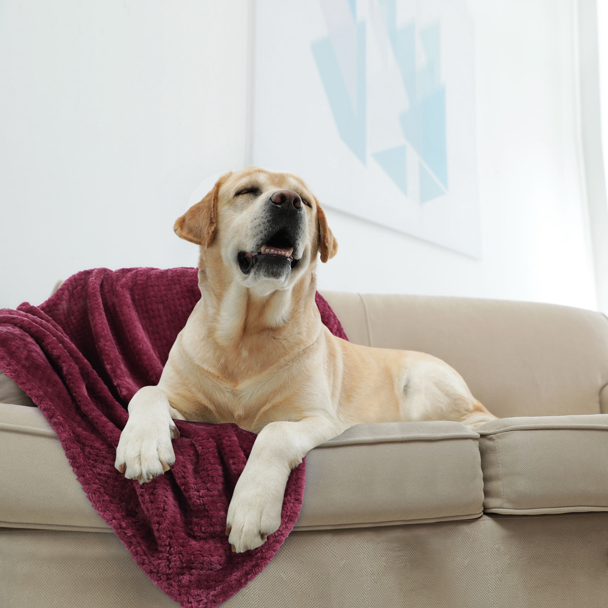 Unique Bargains Soft Flannel Fleece Velvet Blanket Burgundy 30" x 40"
