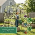 thumbnail image 3 of Garden Trellis Arch 7FT PP-Coated Stainless Steel Metal  Tall Cucumber Trellis for Climbing Plants Outdoor Vegetable Trellis with Trellis Netting, 3 of 7