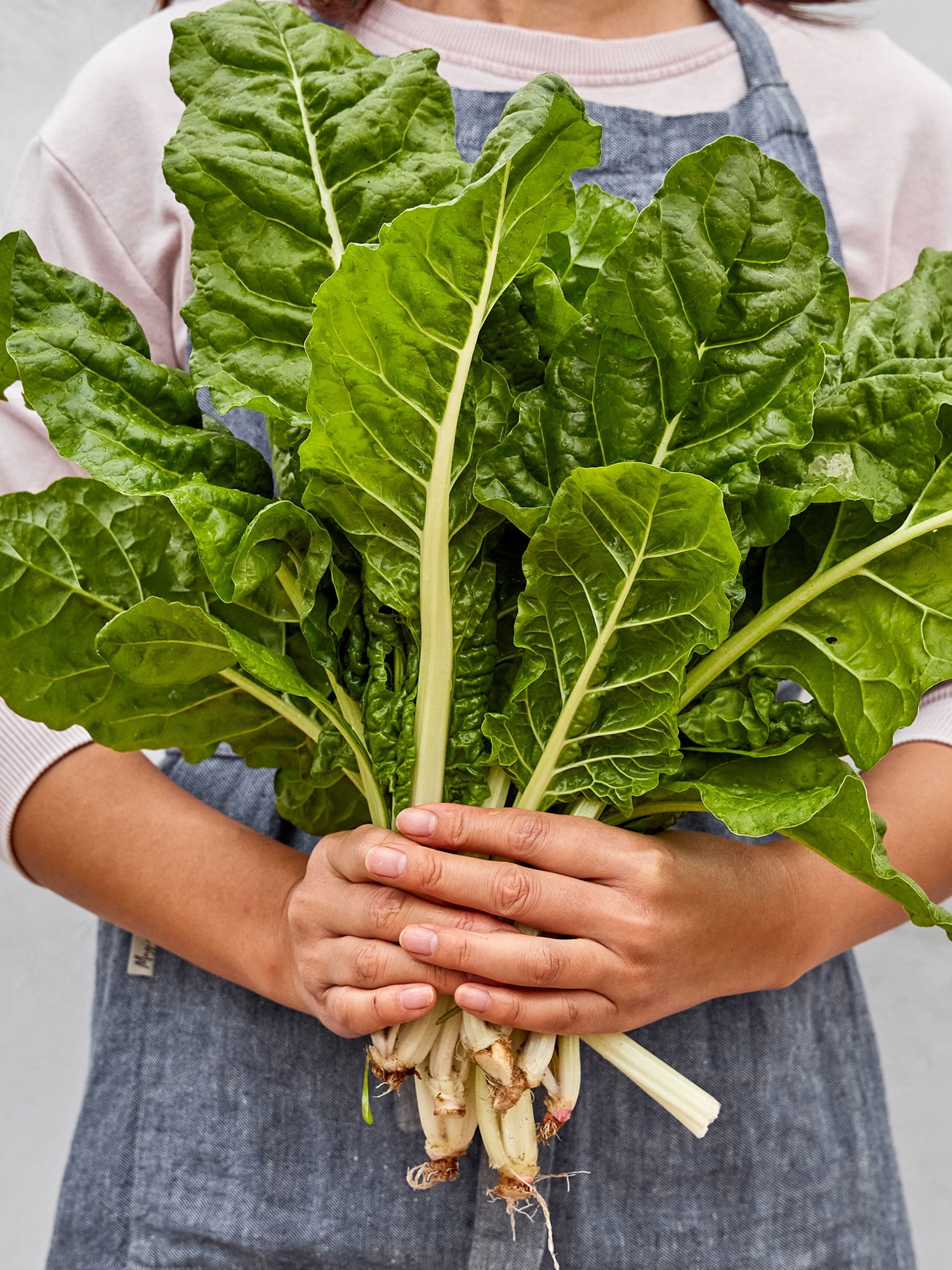 Burpee Fordhook Giant Swiss Chard, Annual Vegetable Seed, 1-Pack, Full Sun