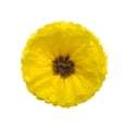 thumbnail image 2 of Wrapables® Set of 3 Tissue Flower Pom Poms Party Decorations for Weddings, Birthday Parties Baby Showers and Nursery Décor, Orange, Yellow, Light Pink, 2 of 4