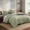 Olive Green, variant on Catami Soft Prewashed 7-piece Bed in a Bag Comforter Set with Sheets,Dusty Blue,Queen