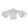 thumbnail image 2 of Acclaim Lighting Lfl2m Dual Head Led Flood Light, 2 of 2