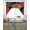 Red Black, variant on Christmas Swag Kitchen Curtains Sets for Windows 24 Inch Length, Red Cardinal Bird Poinsettia Pine Needles Plaid Short Window Curtain Panels Swags Valances and Tiers 3 Piece Set for Cafe/Dining Room