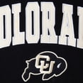thumbnail image 4 of Youth Colosseum Black Colorado Buffaloes 2-Hit Team Pullover Hoodie, 4 of 4