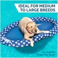 thumbnail image 3 of SwimWays Spring Float Paddle Paws Dog Pool Float - Large (65 lbs and Up), 3 of 6