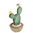 thumbnail image 2 of Northlight 12" Flowering Cactus Artificial Potted Plant - Brown/Green, 2 of 3