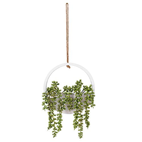 WOODWORD Fake Hanging Plants - Artificial Succulants Plants for Home Decor - 18' Faux Hanging Plants Comes with A Lanyard