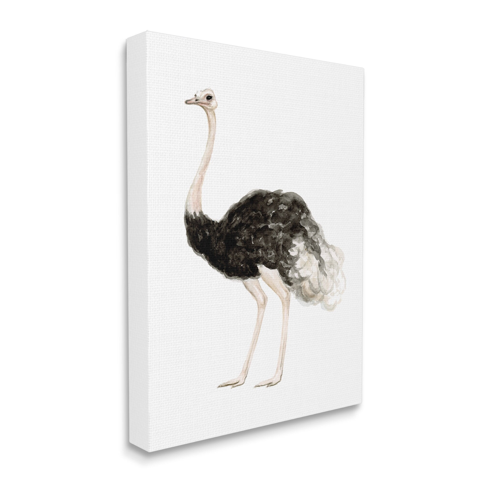 Stupell Industries Ostrich Bird Watercolor Portrait Kids' Nursery Wildlife Animal, 24 x 30,Design by Fox Hollow Studios
