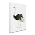 thumbnail image 3 of Stupell Industries Ostrich Bird Watercolor Portrait Kids' Nursery Wildlife Animal, 30 x 40,Design by Fox Hollow Studios, 3 of 5