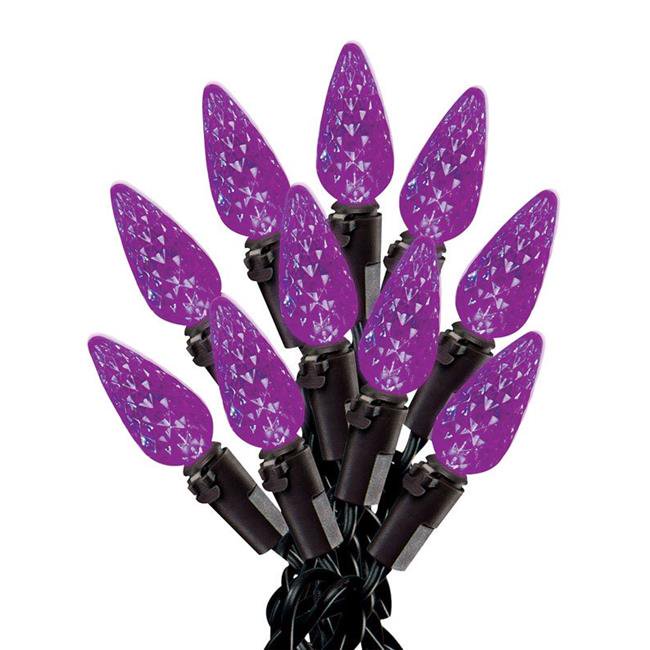 Celebrations 9736935 13.5 ft. LED C6 Lighted Purple Halloween Lights