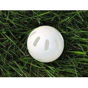 Wiffle Bat & Ball Set (32)