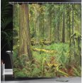 thumbnail image 4 of Ambesonne Forest Shower Curtain, Woodland Bushes Moss, 69"Wx75"L, Green, 4 of 5