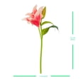 thumbnail image 3 of Ramo Artificial Mainstays 38.1 cm Tallo de Lirio Rosa, 3 of 4