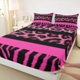 thumbnail image 3 of Feelyou Zebra Cheetah Print Queen Sheet Sets, Modern Fashion Teen Bed Set, 4 Pieces, 3 of 7